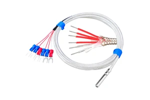 Songdao 4*30mm Probe Flexible PT100 RTD Temperature Sensor 0.1C Resolution 6-wire PTFE Cable 200 OEM ODM IP68 Stainless Steel