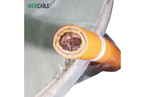 Wholesale Shielded EV Cable High Voltage HV Orange Cable 2.5\4\25\35\50\70\95 mm Electric Vehicle Boat Battery Power Cable