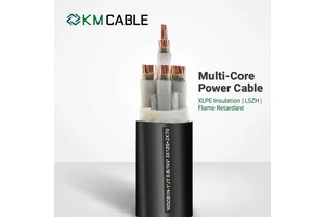 Multi Core XLPE Insulated LSZH Flame Retardant Power Cable 0.6/1kV Copper Conductor