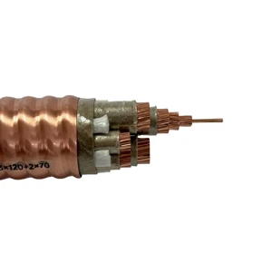 Factory Direct Sale Flexible BTTRZ 3x120+2x70 Power Cables Copper Stranded Mineral Insulated PVC Fire-Resistant 2-Core Cable