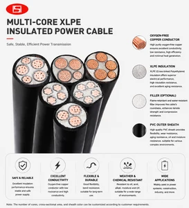 Wholesale Copper Core 12kv XLPE YJV32 Cable 240 Mm2 Medium Voltage Underground with High Conductivity