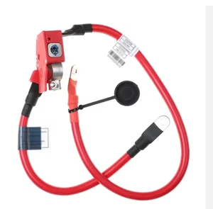 61129322056 Positive Battery Cable for BMW