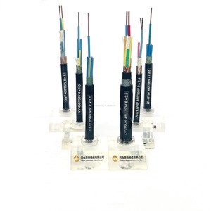 450/750V Multicore Control Cable Kvv Kvvp Kvvp22 ZR-KYJV ZR-KYJVRP Electrical Cable Instrumentation Control Cable
