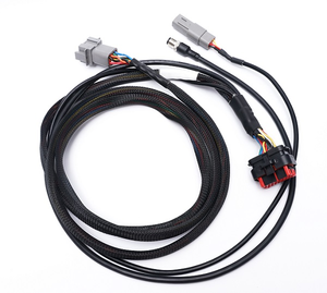 Flexible Bend Resistant Robot Wire Harness ODM Custom Twisted Pair Cable For 6 Axis Robotic Arm Handling Welding Equipment