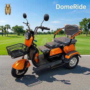 Adjustable Three-Seat Electric Tricycle 600W Brushless Central Motor 960Wh Lithium Battery Steel Frame 3 Speed 48V-60V DomeRide