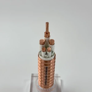 BTTRZ YTTW Mineral Cable 3 4 5 Cores 4 6 10 16 25 35 50 70 Square Meters
