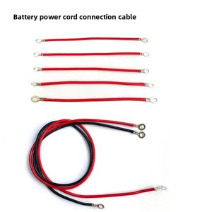 Pure Copper Electric Vehicle Electric Cable Series 2.5/4/6/8 Flat Power Cable with Thickened Design for Automotive Connection