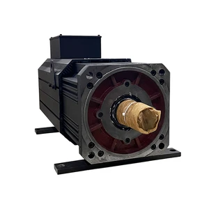 OLU 101KW 482N.m 2000RPM AC380V Three-Phase High Power Permanent Magnet Servo Motor ISO/CE Certified Wire Drawing Machine Type