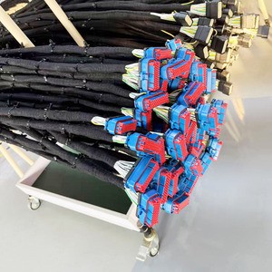 China Factory Specialized in the Production of Trailer Wiring Harness Truck Cable Assembly