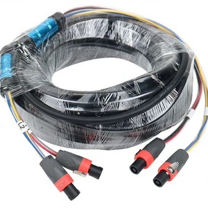 2-Channel 4-Core Bare Copper Wire Stage Lighting Audio Connection Cable with Cannon Plug Connector MA0366 4*25mm