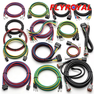 Professional Wire Cable Assembly Factory Production All Kinds of Custom Wire Harness Custom Cable