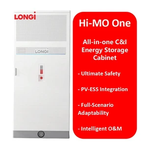 Longi Hi-MO One Industrial And Commercial All In One Grid Connection 261kWh Container BESS Solar Battery Energy Storage System