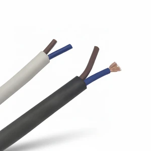 DCSk 5m Auto Trailer Cable PVC Insulated Stranded Tinned Copper Round 2x2.5 mm 2 Core Building Vehicle Line