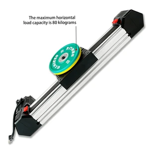 750W Servo Motor High Speed Rail Heavy Load Slide Long Stroke Guide Linear Motion Belt Driven Actuator Bearing Core Aluminum