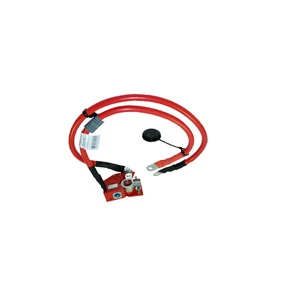 OEM 61126998059 Car Battery Cable for bmw
