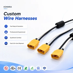 Custom XT30 Male Female Connector 4.0mm Copper Core Banana Plug Charger Cable Wire Harness Assembly For Motorcycle Electronic