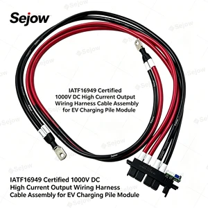 UL CE Certified High Voltage Flame Retardant DC Output Cable Harness For Electric Vehicle Charging Pile Module