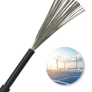 2 Core 0.6/1kV Copper Solar Panel PV Cable Energy Storage Battery XLPE Double Electric Power Photovoltaic Dc Solar Wire