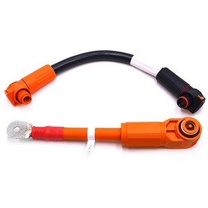 Cable Assembly 16mm 25mm Energy Battery Storage Cable MSD Positive Wire With Connection Battery Power Connect Cable High Voltage