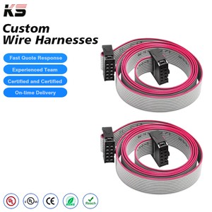 Custom IDC Cable 2.54 MM IDC Flat Ribbon Cable 10PIN Pure Copper Custom Wiring Harnesses