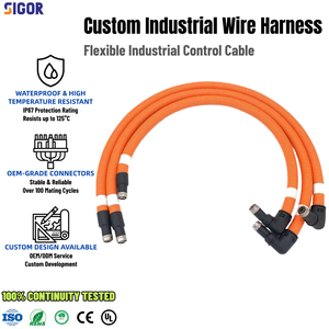 Industrial Custom Wire Harness with 90 Degree Right Angle M12 Connector High Flexible Cable for Servo Motor Automation Equipment