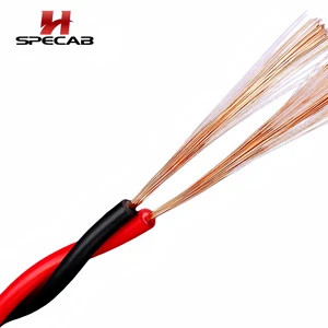 14AWG High End Speaker Cable OFC Pure Copper Twisted Pair 2x2.5mm² RYJS Flexible Audio Line for Professional Stage Sound System