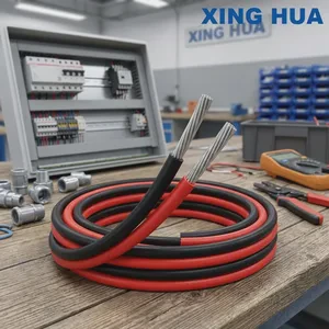 2.5mm 4mm 6mm 10mm Solar PV Power Panel Energy Storage Tinned Copper Battery Photovoltaic Cable Halogen Free IEC62930 H1z2z2-K