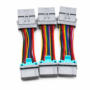 Wholesale Custom Multi Color High Density Automotive Equipment Wire Harness Cable Assembly For Vehicle Electrical System