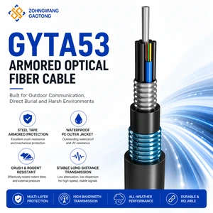 GYTA53 Armored Optical Fiber Cable 2 Core Stranded G652D Steel Tape PE Sheath Underground Outdoor Network OEM CE RoHS