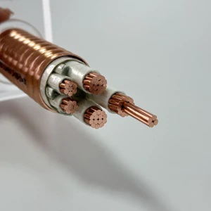 BTTRZ YTTW Mineral Cable 3/4/5 Cores Flexible Electrical Power Cables PVC/PE Insulated 4/6/10/16/25/35/50/70 Square Meters