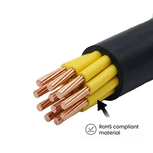 High Conductivity Copper Conductor XLPE Insulated PVC Jacketed KVV 450/750V Control Cable IP44 -55~200 for Industrial