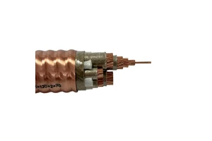 Factory Direct Sale Flexible BTTRZ 3x120+2x70 Power Cables Copper Stranded Mineral Insulated PVC Fire-Resistant 2-Core Cable