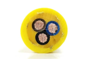 Hot Sales Industrial 3-core 3*16/25+1*10/16 Tinned Copper PVC Jacket Reel Cable Crane Cable Reel Steel Wire for Cranes Forklifts