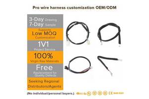 Industrial Custom-Made Complete Pvc Insulated Jst Wiring Harness for Servo Drive CNC Machine and PLC Control Panel Applications