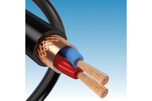 2/4/6 Core RVSP 300/500V Shielded Twisted Pair Control Cable For Serial Communication