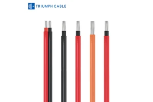 Solar Cable PV1-F Double Parallel Photovoltaic Cable Xlpe 1169 Connect Solar Modules and Electrical Components for Solar System