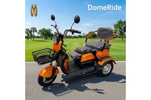 Adjustable Three-Seat Electric Tricycle 600W Brushless Central Motor 960Wh Lithium Battery Steel Frame 3 Speed 48V-60V DomeRide
