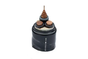 11KV Armoured cable 1*50mm2 PVC Insulated cable Armoured cable