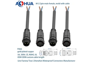 24V 60V 110V 220V 300V 12V 5A Male Female IP67 IP68 2 Pin Waterproof Connector Molded With Cable Power Signal
