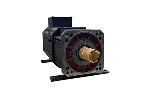 OLU 101KW 482N.m 2000RPM AC380V Three-Phase High Power Permanent Magnet Servo Motor ISO/CE Certified Wire Drawing Machine Type
