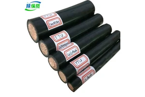 Highly Flexible 10 25 35 50 70mm 952 Pure Copper Battery Power Cable Wire Solar Inverter System Automotive Industrial XLPE
