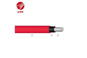 Tinned Copper Core Stranded DC Solar Cables with XLPE/PE Insulation 4mm/6mm/10mm Sizes for Solar Energy Systems Made in Vietnam