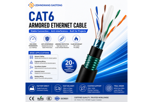 Cat6 Solid 8-Conductor Armored Ethernet Cable For Outdoor Direct Burial Network Installation With Shielded Copper Conductor