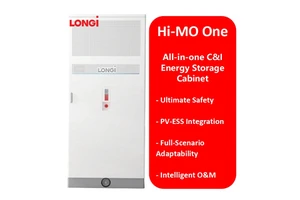 Longi Hi-MO One Industrial And Commercial All In One Grid Connection 261kWh Container BESS Solar Battery Energy Storage System