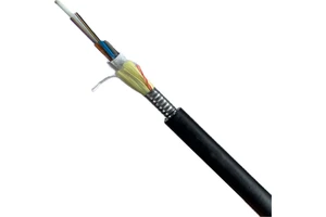 ARSS Aerial Anti Rodent Fiber Optic Cable G652D Single Mode 12 24 48 72 96 Core Overhead Communication