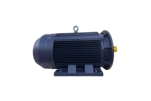 1400 Rpm Electric Asynchronous 2.2kw Asynchronous 15kw 48v Electric Ac Servo Motor