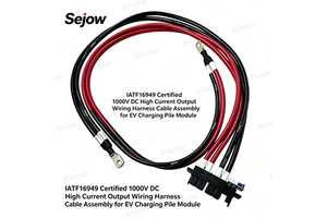 UL CE Certified High Voltage Flame Retardant DC Output Cable Harness For Electric Vehicle Charging Pile Module