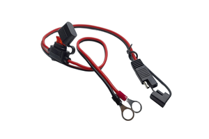 Custom 2 Pin 14AWG SAE to O Ring Terminal Harness 10A 20A Fuse Battery Extension Cable Assembly Wire Harness for Boat Car ATV