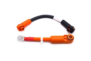 Cable Assembly 16mm 25mm Energy Battery Storage Cable MSD Positive Wire With Connection Battery Power Connect Cable High Voltage