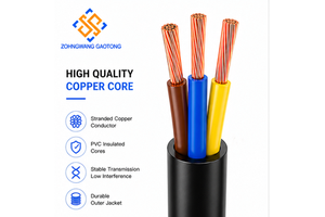 RVV Stranded Oxygen-Free Copper PVC Insulated Sheathed Flexible Cable 2-5 Core 0.5-6mm for Building Power Wiring OEM CE RoHS